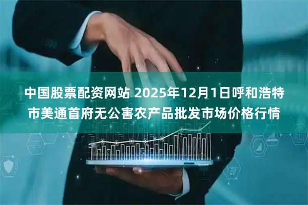 中国股票配资网站 2025年12月1日呼和浩特市美通首府无公害农产品批发市场价格行情