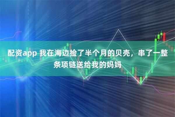 配资app 我在海边捡了半个月的贝壳，串了一整条项链送给我的妈妈